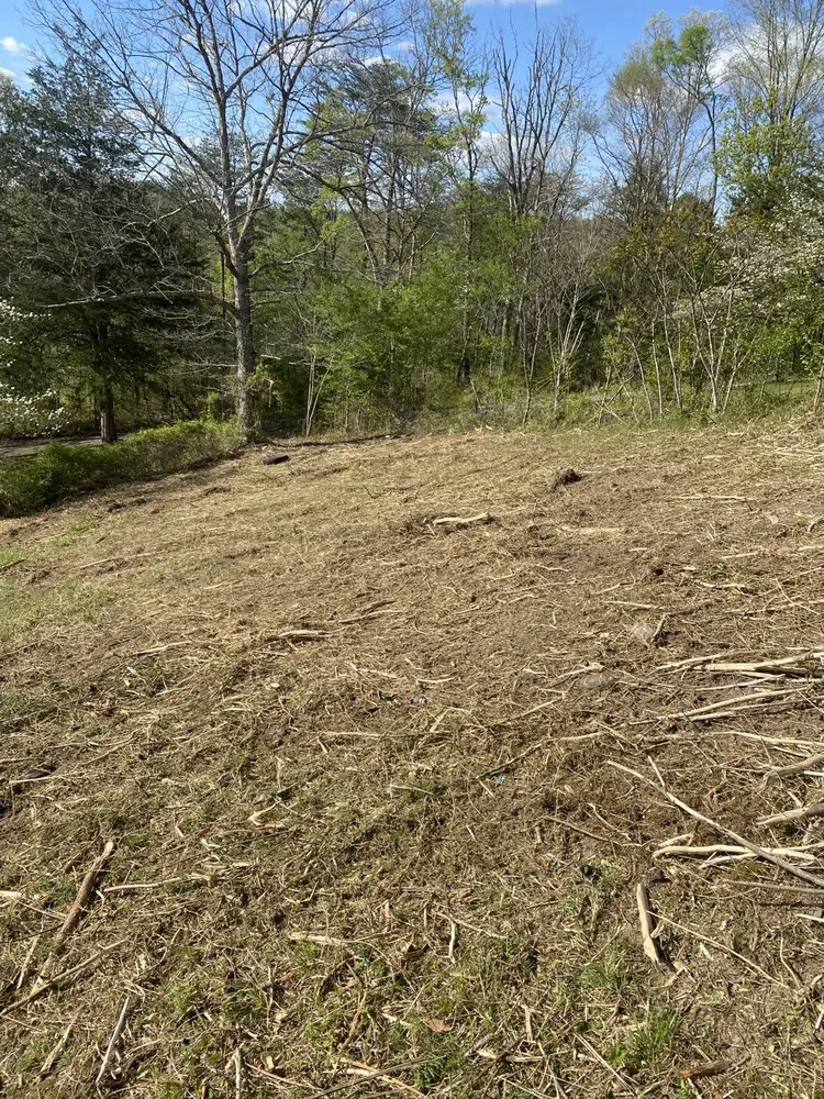 Professional garden landscaping for year-round maintenance in Corbin, KY by C&C Land Services