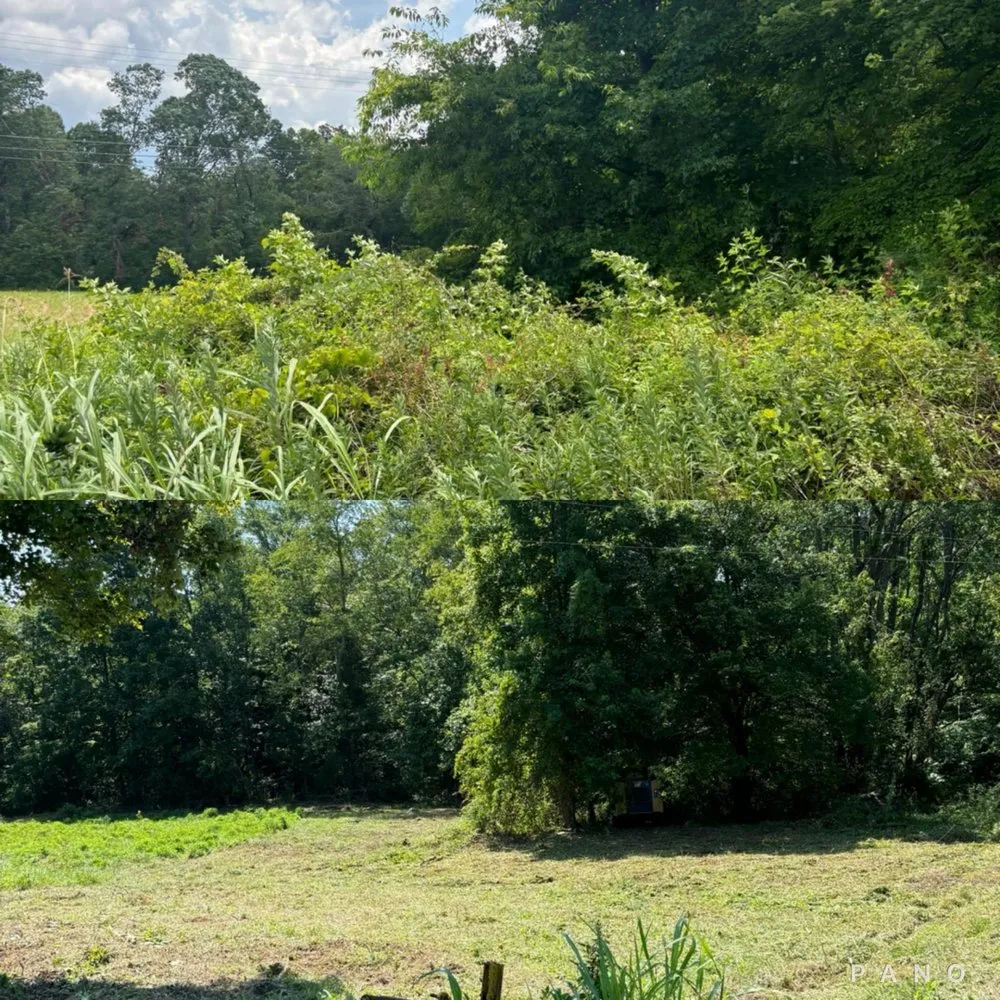 Reliable yard cleanup service for homes in Corbin, KY by C&C Land Services