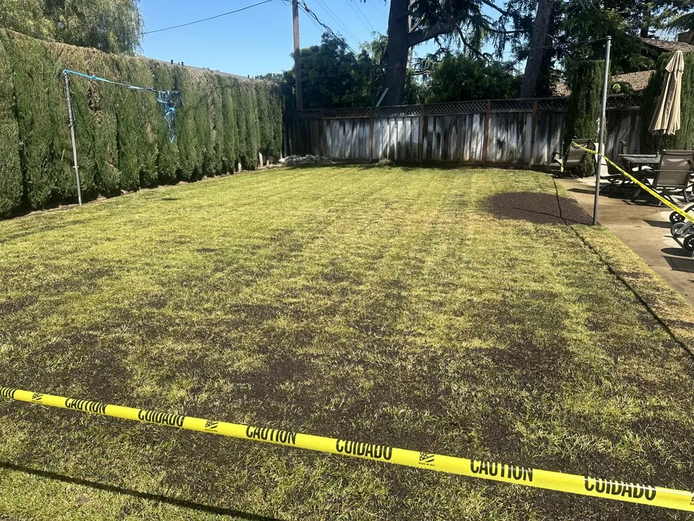 Professional landscaping services near you across Gilroy, CA - C&C Landscape & Tree Care