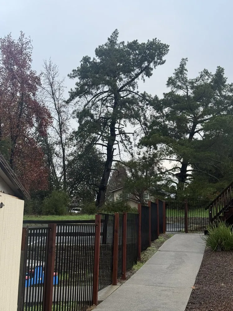 Custom landscape installation in Gilroy, CA - C&C Landscape & Tree Care