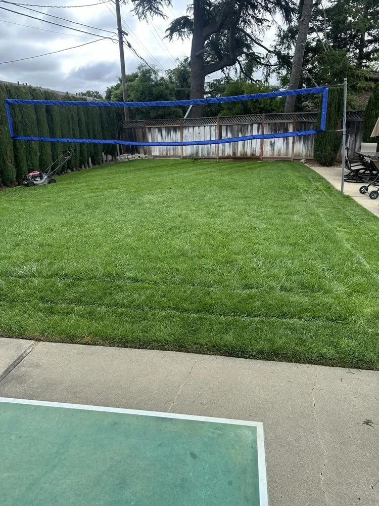 Professional yard maintenance for beautiful yards across Gilroy, CA - C&C Landscape & Tree Care