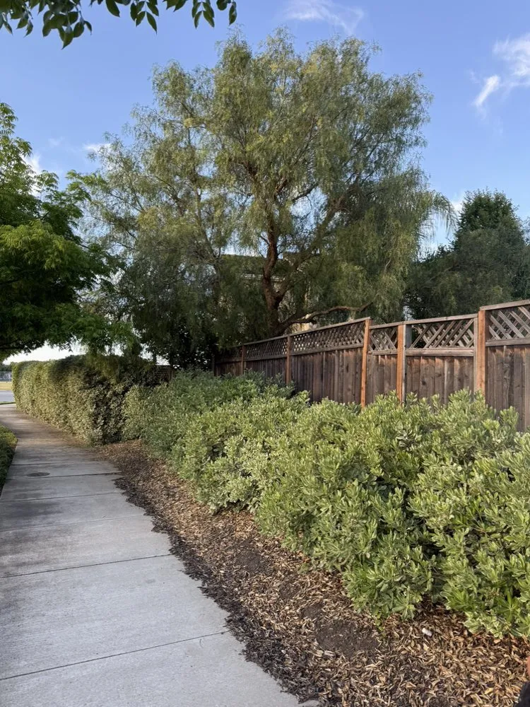 Top-rated landscape installation in Gilroy, CA by C&C Landscape & Tree Care