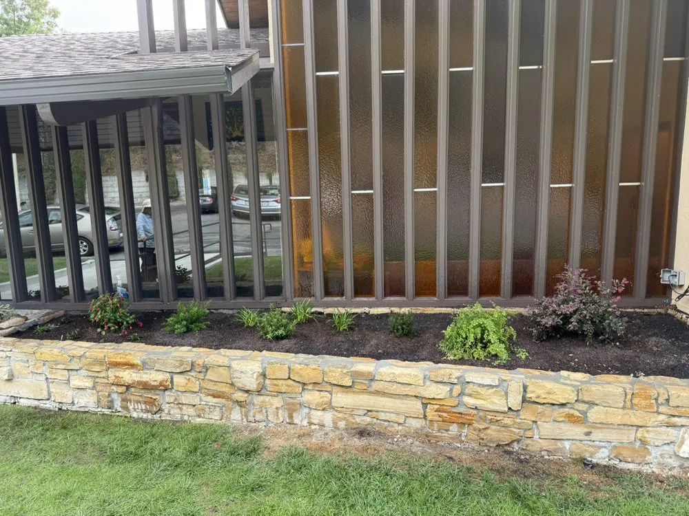 Expert yard cleanup service in Gilroy, CA - C&C Landscape & Tree Care