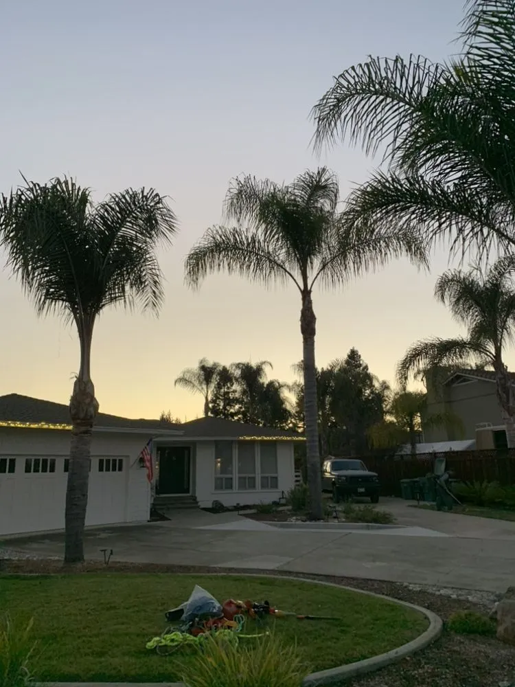 Custom outdoor landscaping near you in Gilroy, CA by C&C Landscape & Tree Care