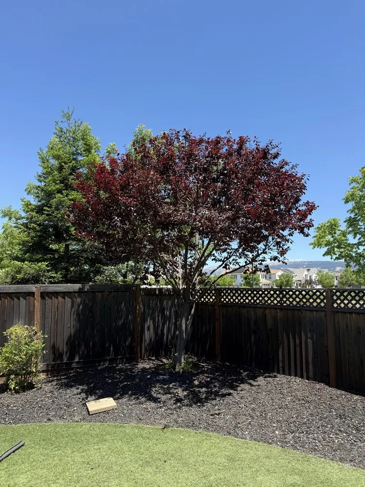 Top-rated residential landscaping experts serving Gilroy, CA - C&C Landscape & Tree Care