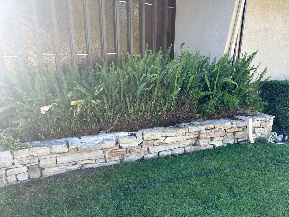 Top-rated yard maintenance for outdoor upgrades in Gilroy, CA by C&C Landscape & Tree Care
