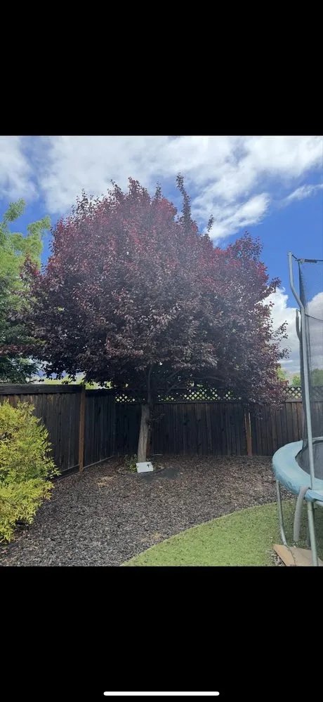 Affordable landscaping services with custom design in Gilroy, CA by C&C Landscape & Tree Care