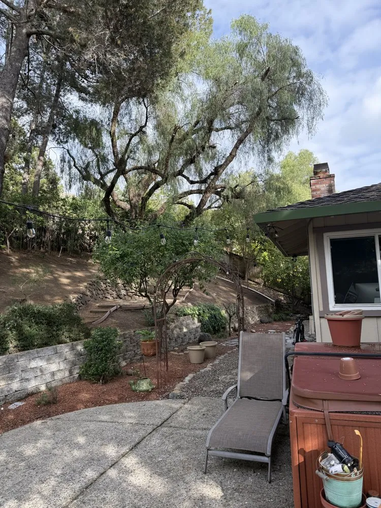 Affordable lawn care service in Gilroy, CA - C&C Landscape & Tree Care