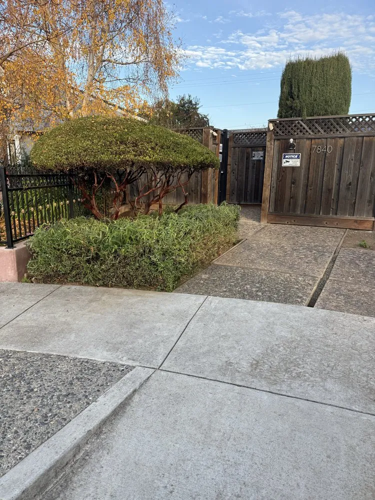 Custom garden landscaping near you in Gilroy, CA by C&C Landscape & Tree Care