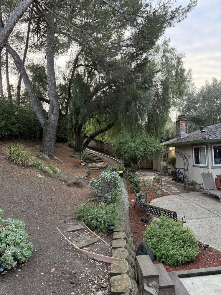 Custom residential landscaping experts serving Gilroy, CA - C&C Landscape & Tree Care