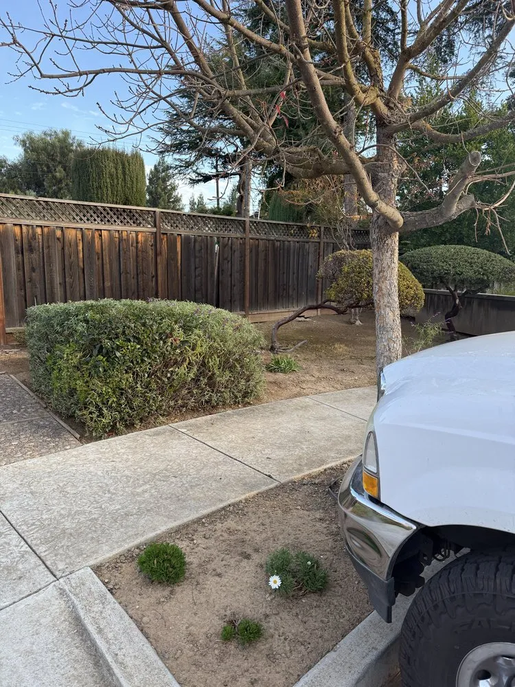 Trusted outdoor landscaping for homes across Gilroy, CA - C&C Landscape & Tree Care