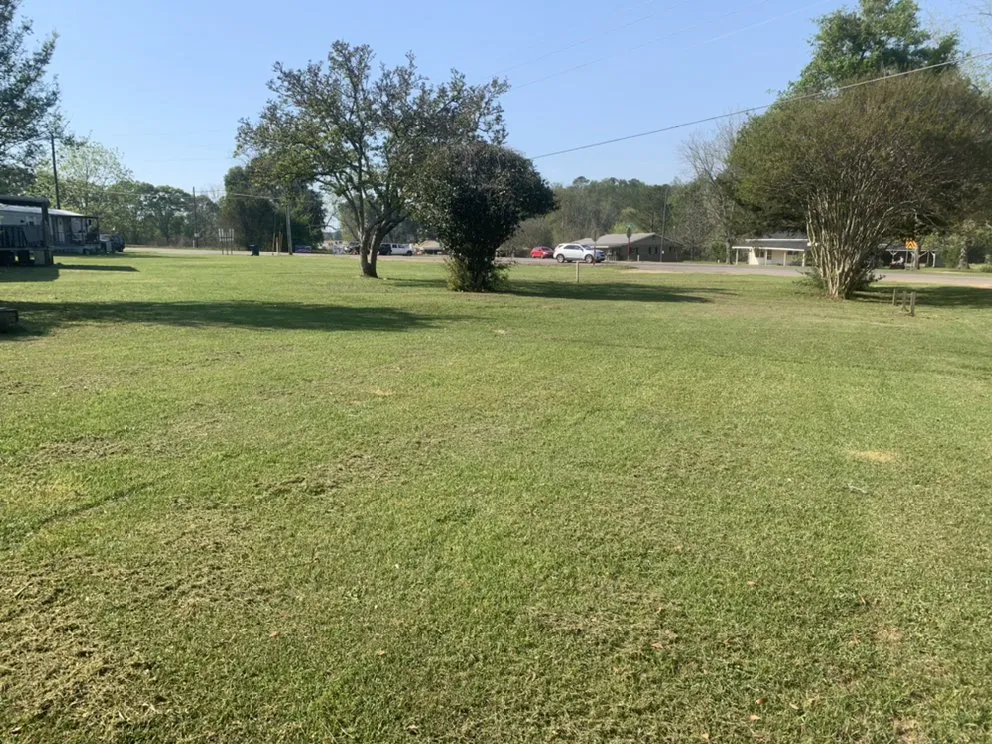 Reliable landscaping services experts serving Kinston, AL - C&C landscape and lawn care