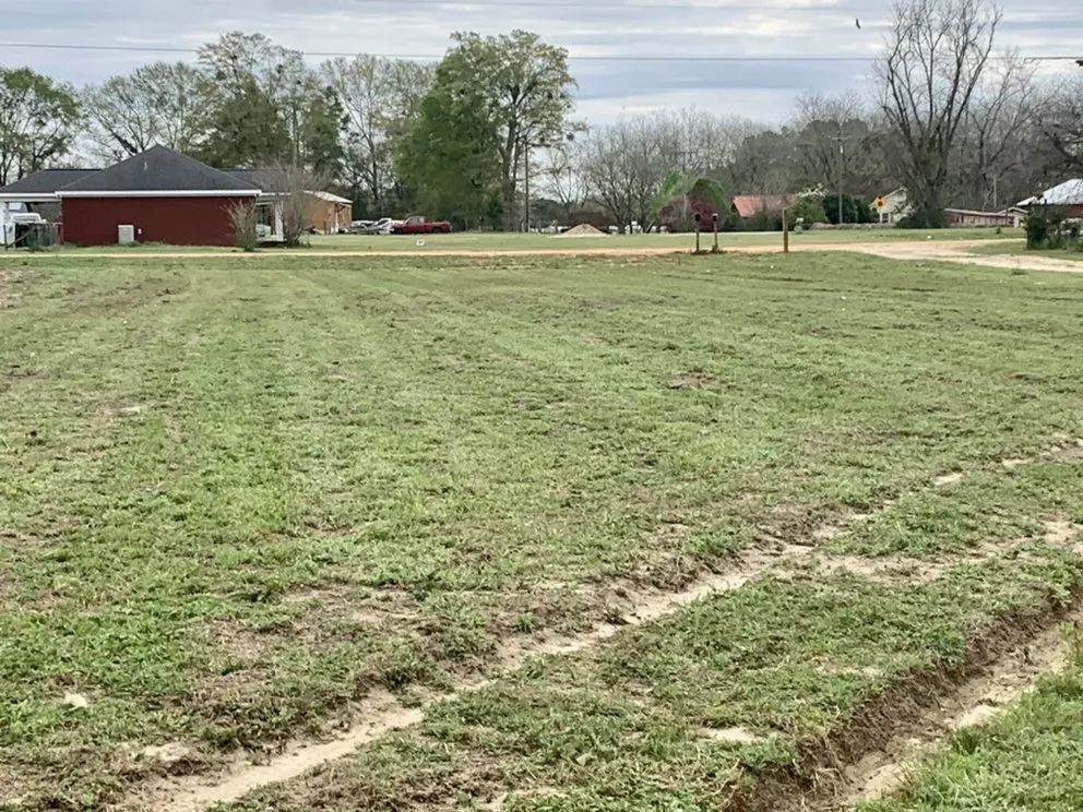 Top-rated lawn care service for outdoor upgrades across Kinston, AL - C&C landscape and lawn care