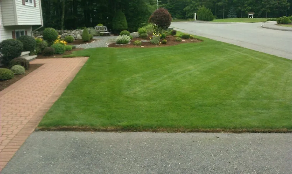 Custom yard cleanup service experts serving Holbrook, MA - C&C Landscape