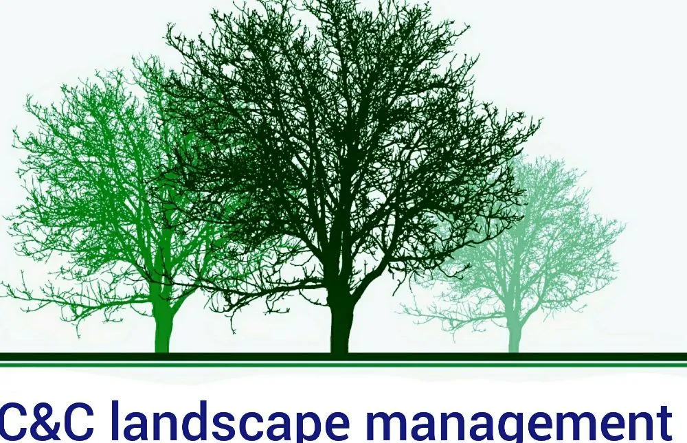 Top-rated lawn mowing service experts serving Thomson, GA - C&C Landscape Management