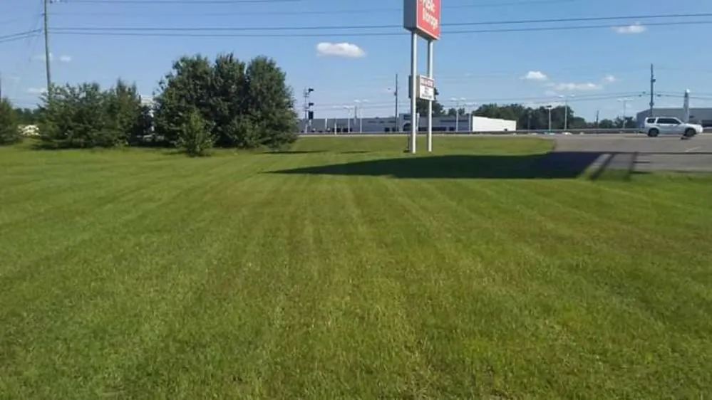 Custom residential landscaping for outdoor upgrades in Thomson, GA by C&C Landscape Management