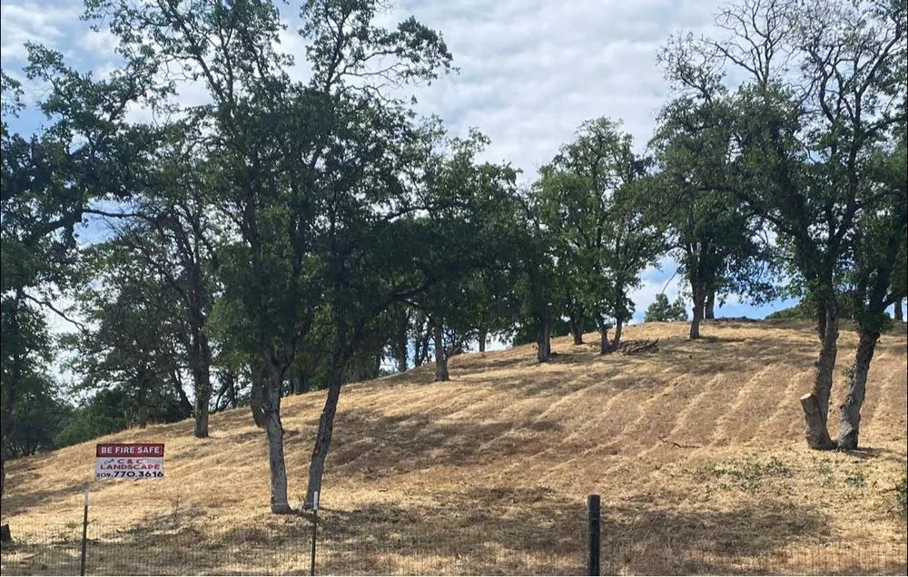 Reliable yard maintenance in Sonora, CA by C&C Landscape