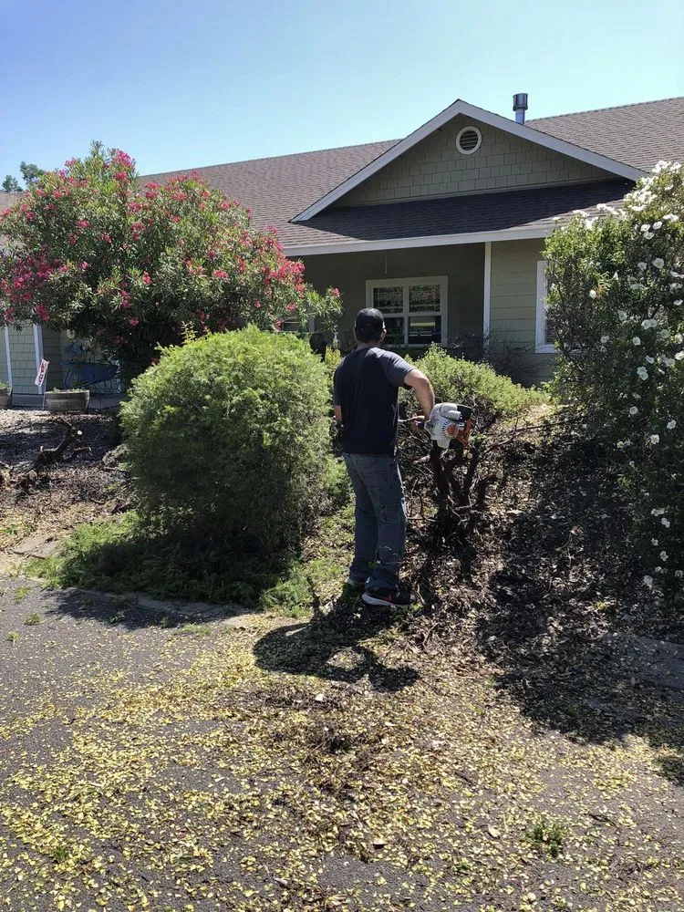 Expert yard maintenance in Sonora, CA - C&C Landscape