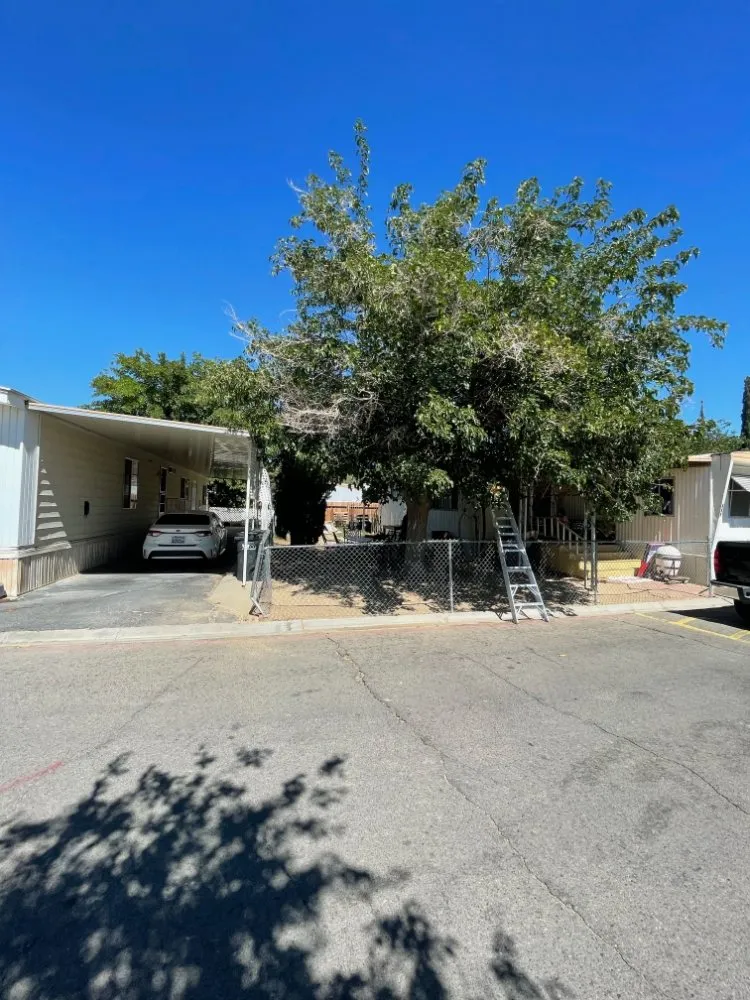 Custom landscaping services experts serving Lancaster, CA - C&C Landscaping & Gardening