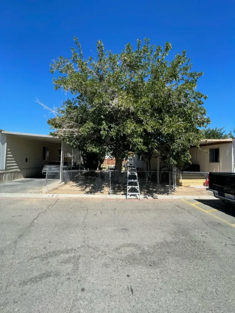 Custom garden landscaping for year-round maintenance across Lancaster, CA - C&C Landscaping & Gardening