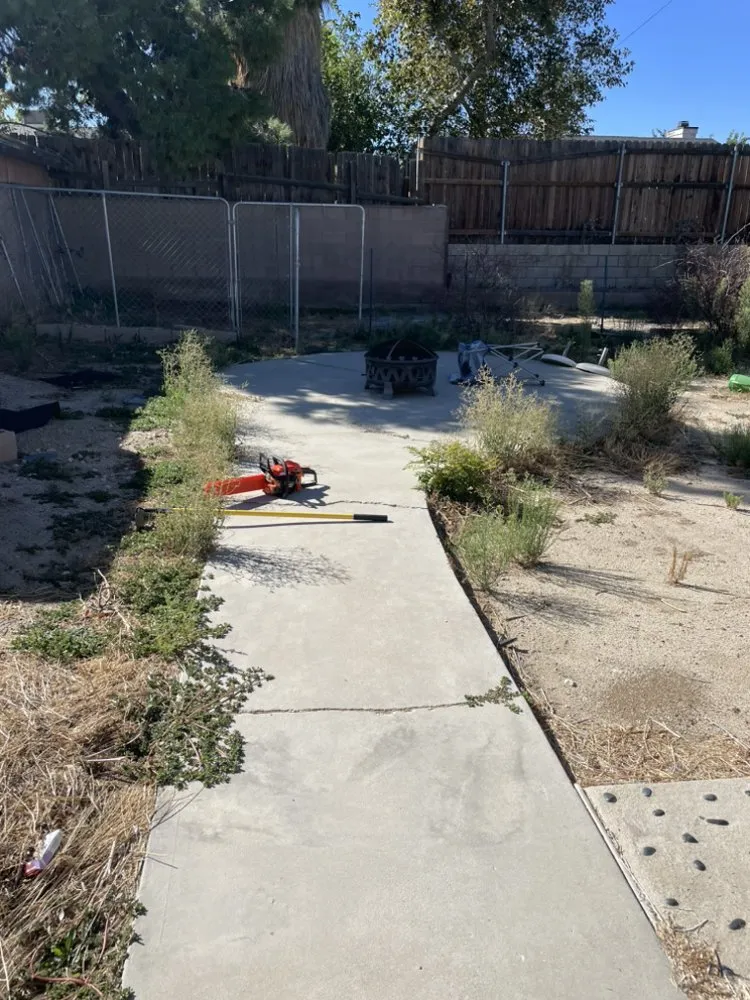 Reliable residential landscaping experts serving Lancaster, CA - C&C Landscaping & Gardening