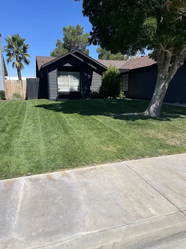 Reliable yard maintenance experts serving Lancaster, CA - C&C Landscaping & Gardening