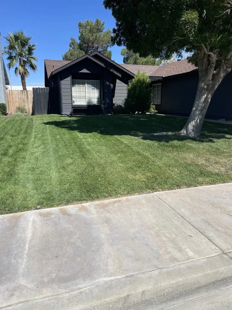 Expert residential landscaping near you in Lancaster, CA by C&C Landscaping & Gardening