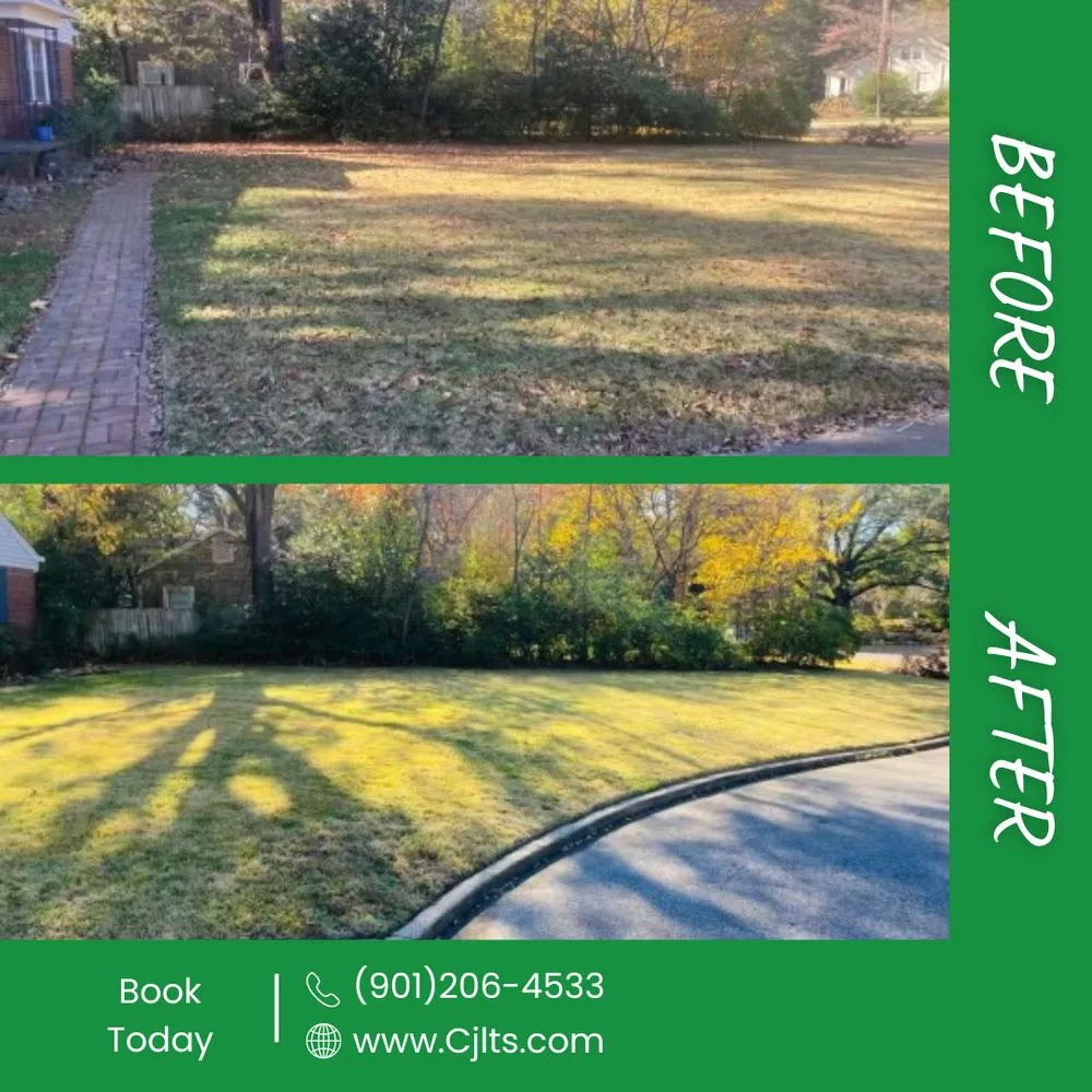 Affordable lawn care service near you across Bartlett, TN - C&C Landscaping & Tree Service