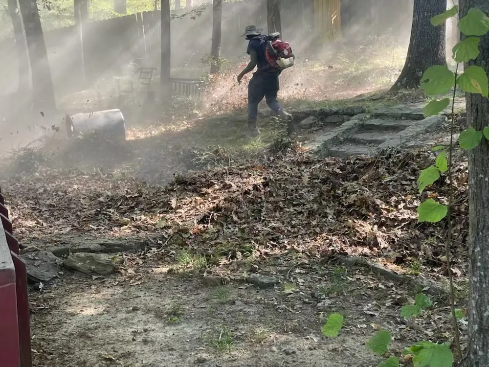 Local outdoor landscaping in Bartlett, TN - C&C Landscaping & Tree Service