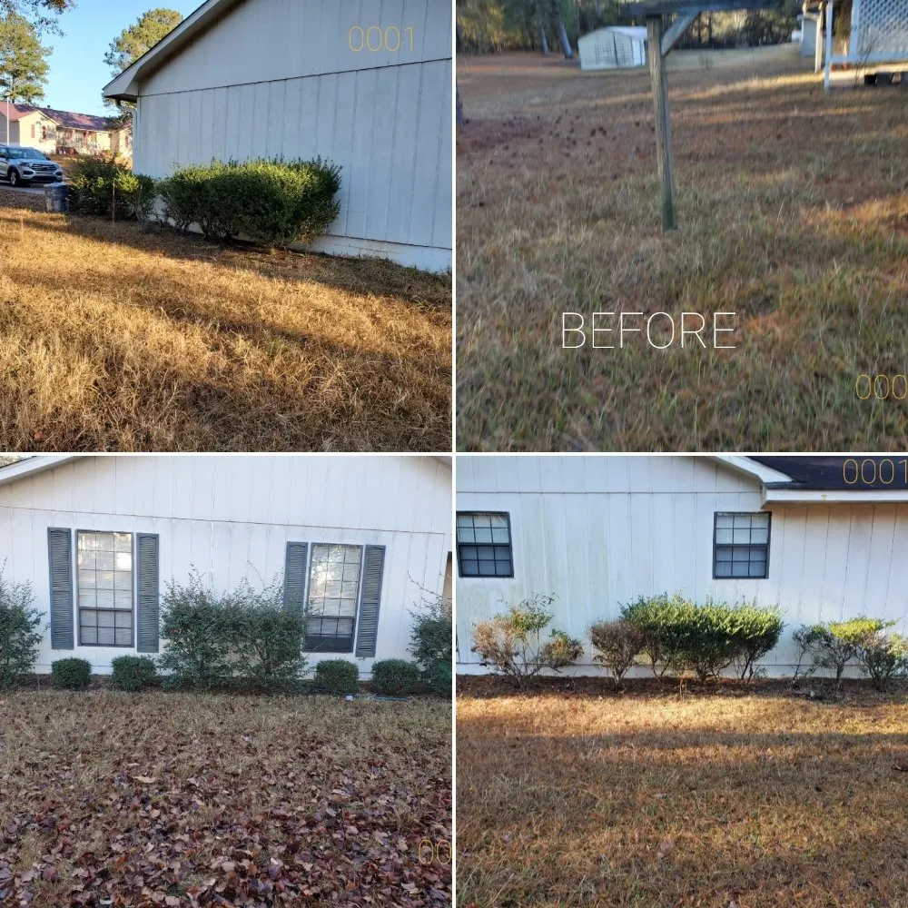 Professional landscape installation for beautiful yards across Dublin, GA - C&C Landscaping 360