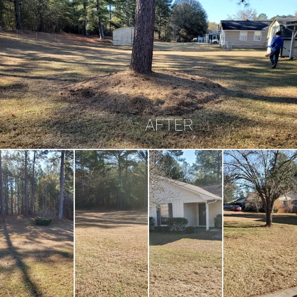 Trusted lawn care service experts serving Dublin, GA - C&C Landscaping 360