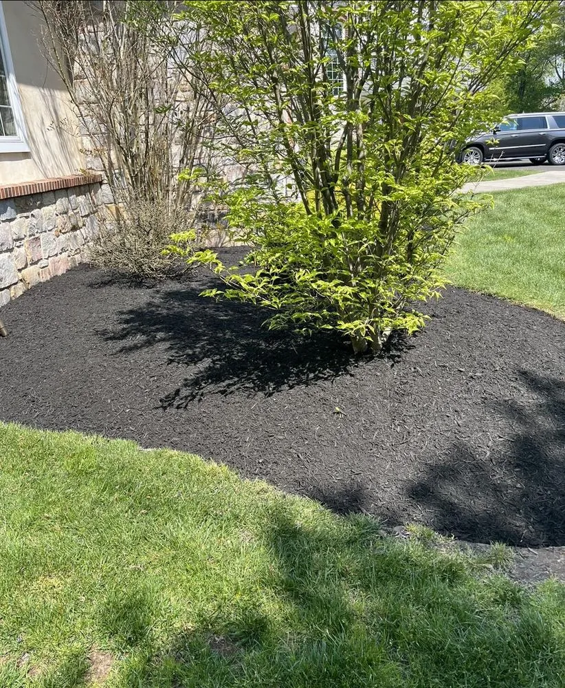 Expert landscape installation for beautiful yards in Yardley, PA by C&C Landscaping and Home Services
