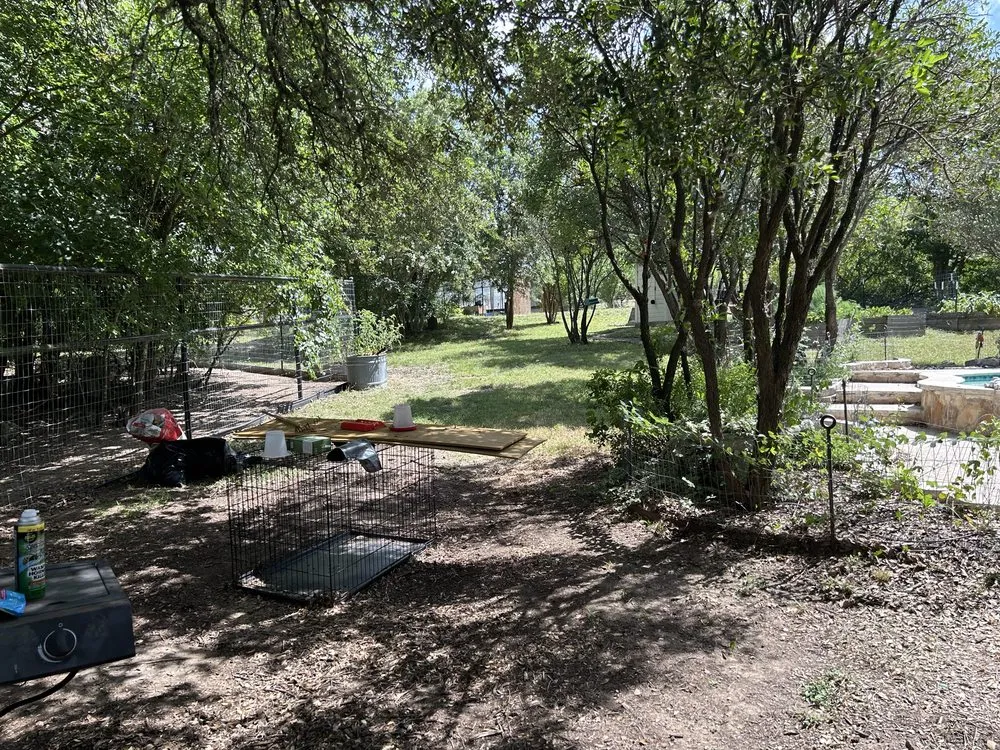 Reliable garden landscaping for year-round maintenance in Boerne, TX by C&C Landscaping