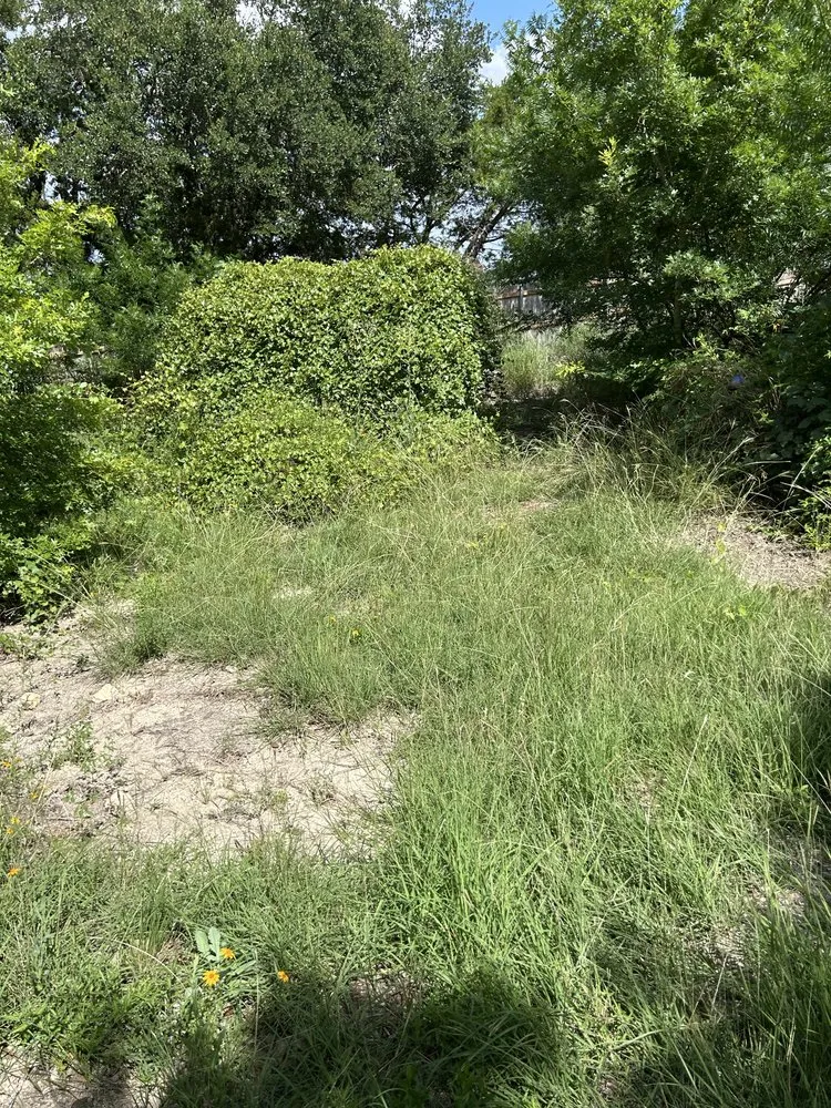 Reliable lawn mowing service in Boerne, TX by C&C Landscaping