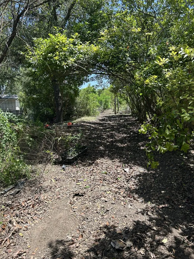 Reliable landscape installation in Boerne, TX - C&C Landscaping