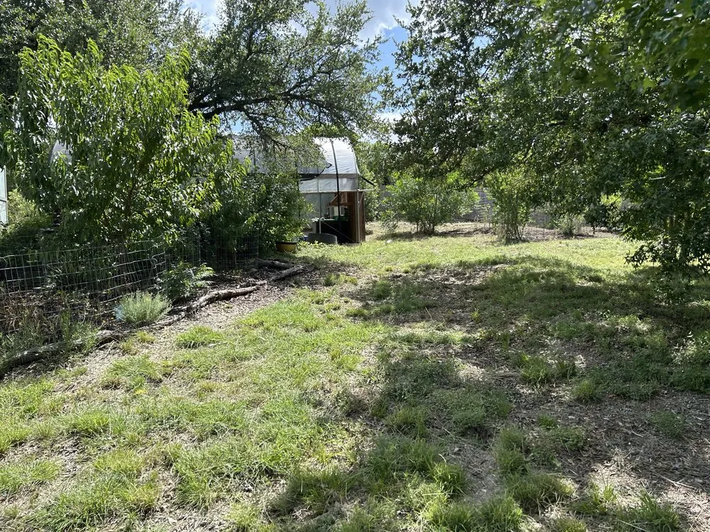 Professional yard maintenance in Boerne, TX - C&C Landscaping