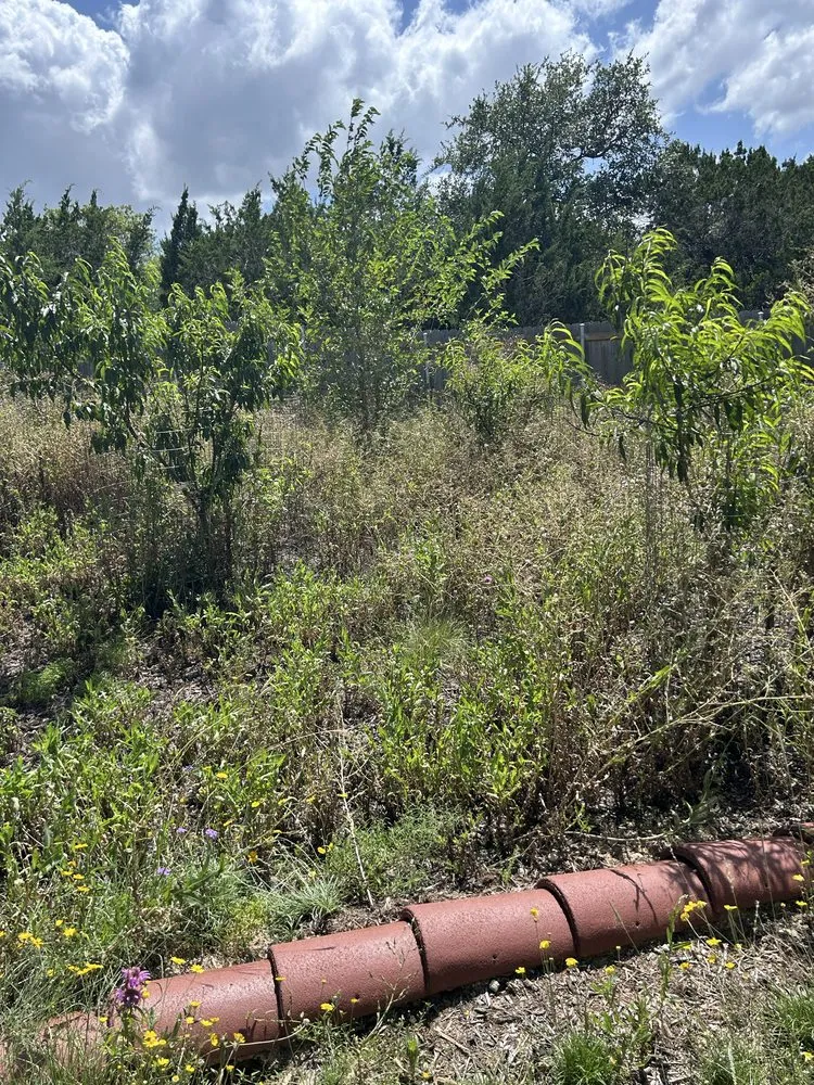 Local lawn care service for residential properties across Boerne, TX - C&C Landscaping