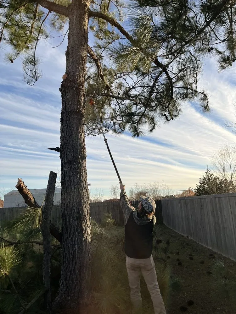 Expert landscape design near you in Durant, OK by C&C Landscaping