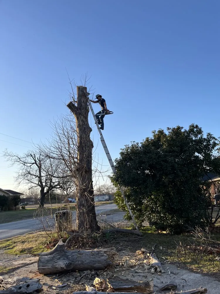 Reliable yard cleanup service for beautiful yards across Durant, OK - C&C Landscaping