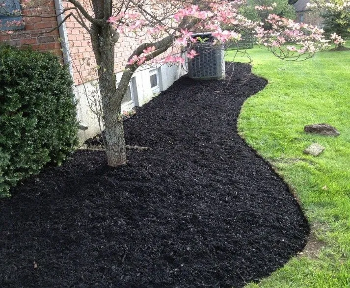 Affordable landscaping services in Lebanon, KY - C&C Landscaping