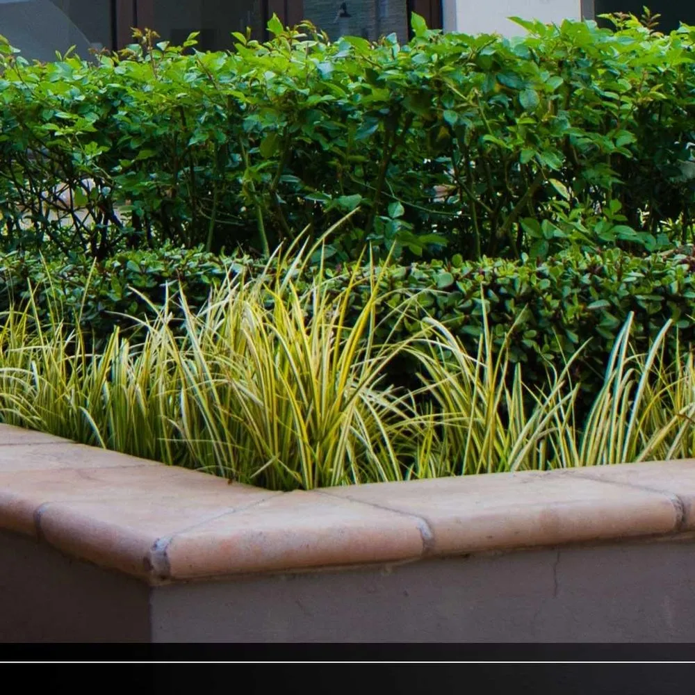 Trusted yard cleanup service near you in Star City, AR by C&C Landscaping