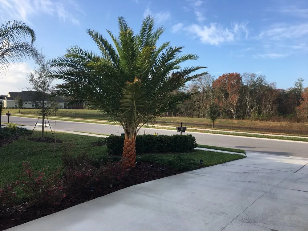 Affordable residential landscaping in Bradenton, FL by CC Landscaping Warehouse Plus