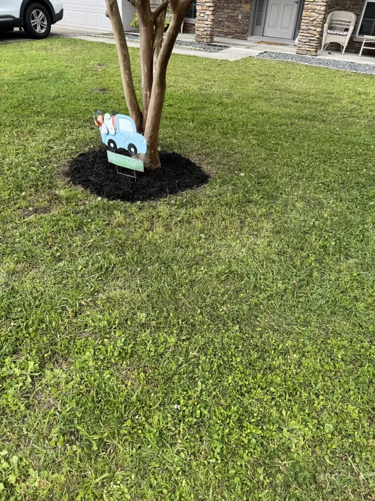 Custom lawn care service experts serving Yulee, FL - C&C Landscaping