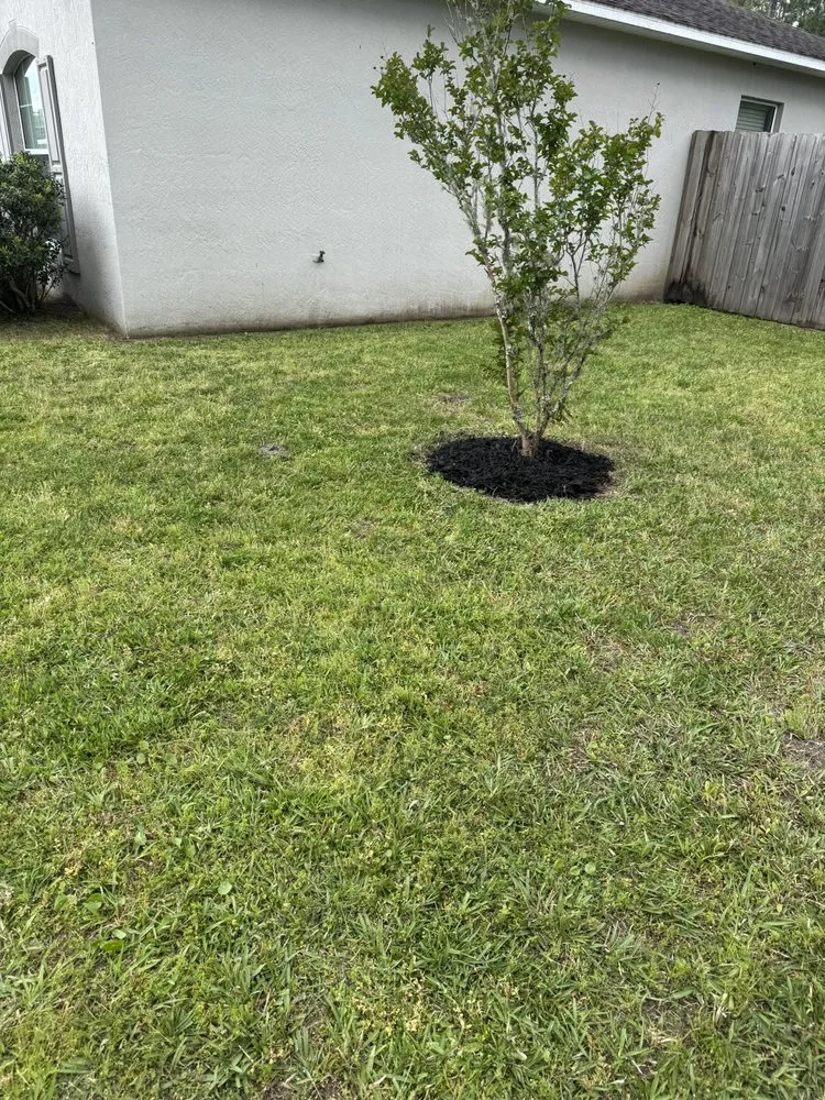 Affordable yard cleanup service in Yulee, FL by C&C Landscaping