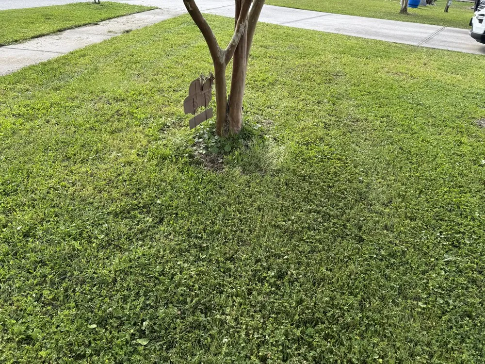 Local landscaping services in Yulee, FL - C&C Landscaping