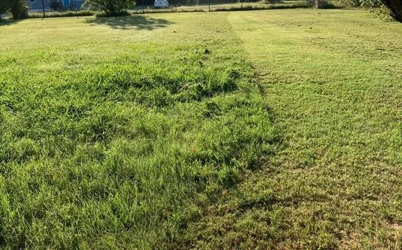 Reliable lawn mowing service experts serving Yulee, FL - C&C Landscaping