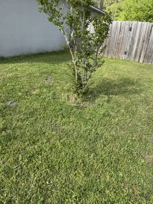 C&C Landscaping Logo