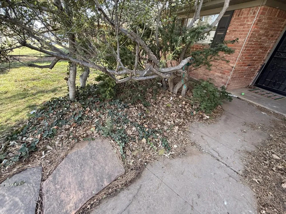 Top-rated landscaping services in Amarillo, TX by CC Lawn & Landscape