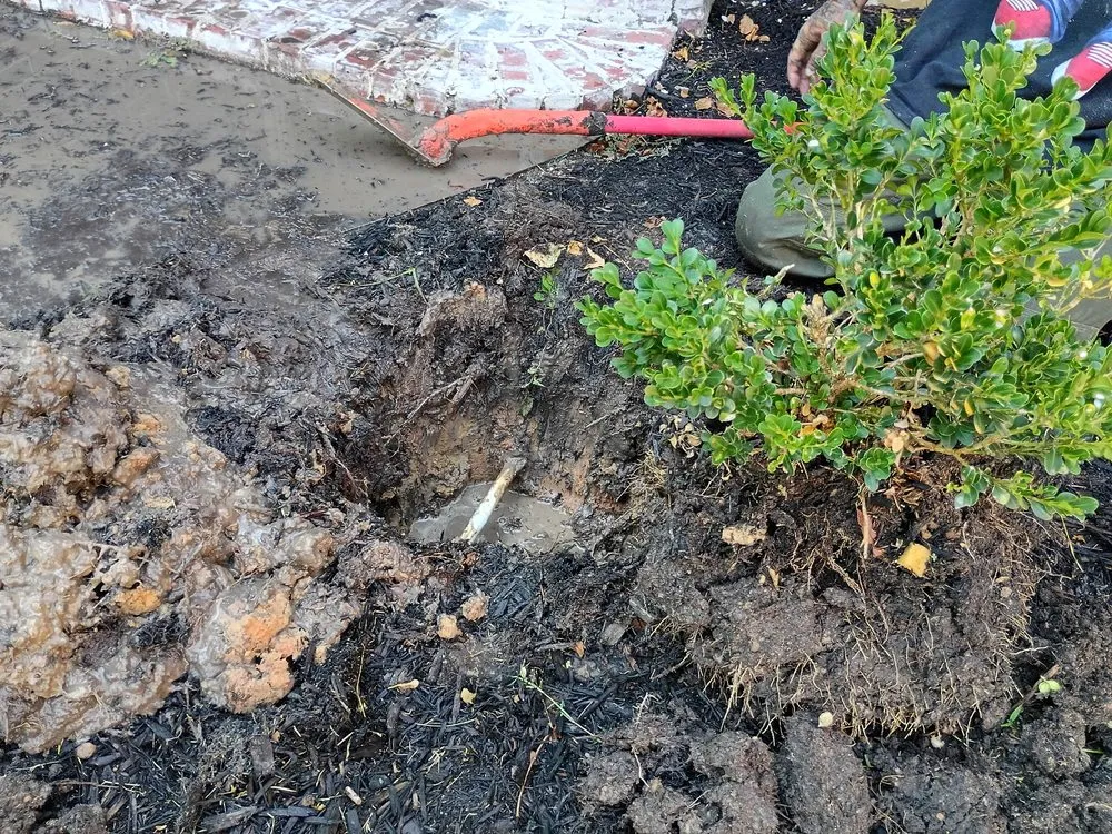 Trusted residential landscaping experts serving Bryan, TX - C&C Lawn and Irrigation