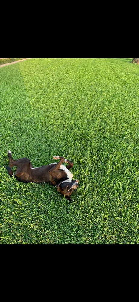 Affordable residential landscaping experts serving Bryan, TX - C&C Lawn and Irrigation